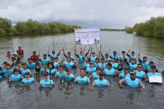 Bekasi Fajar tanam 20.500 pohon mangrove