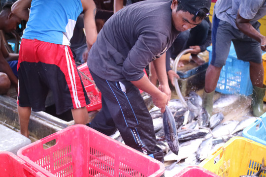 FishLog Tingkatkan Jaringan di Industri Perikanan