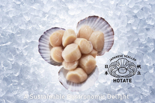 J-HOTATE Association to Exhibit at Seafood Expo Asia to Showcase High Quality Fresh Japanese Scallops
