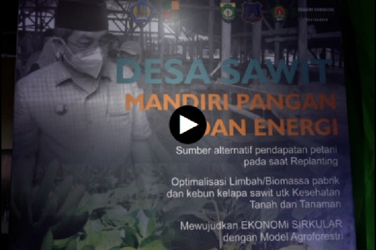 Pendapatan ANJT Melonjak 61,3% di Jan-Sep 2021